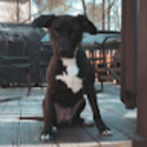 Meet your Posher, Ansley